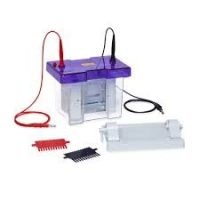 electrophoresis unit_40_11zon